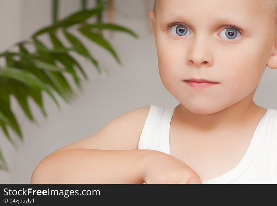 Portrait of a little boy