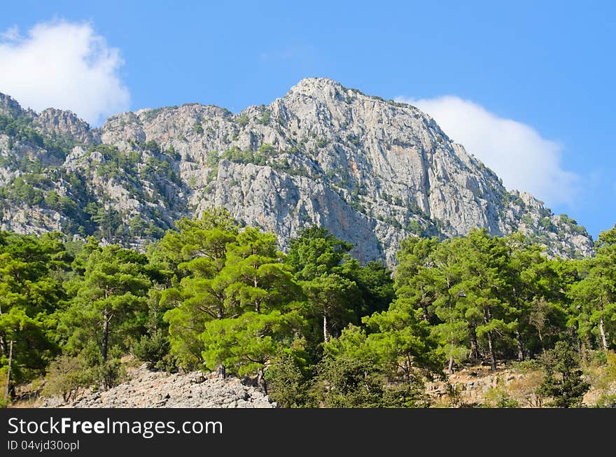 High mountains with growing trees and blue sky. High mountains with growing trees and blue sky