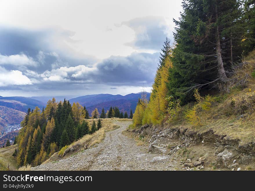 Autumn in mountain road