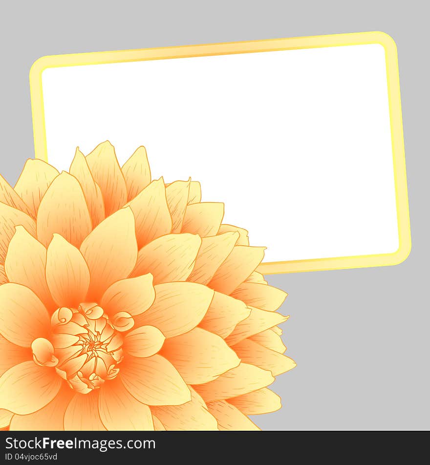 Vector illustration greeting card with orange dahlia. Vector illustration greeting card with orange dahlia.