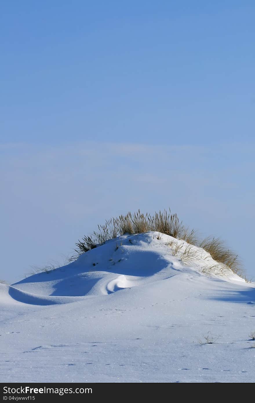 Snowy dunes