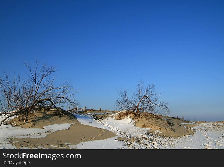 Snowy dunes during winter on sea coast