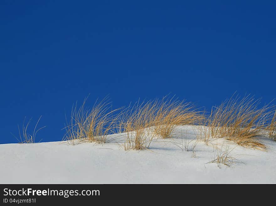 Snowy dunes