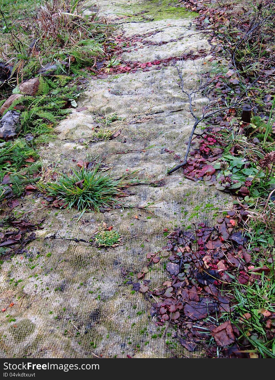 Old textile carpet on the walkway with autumn leafs and plants. Old textile carpet on the walkway with autumn leafs and plants