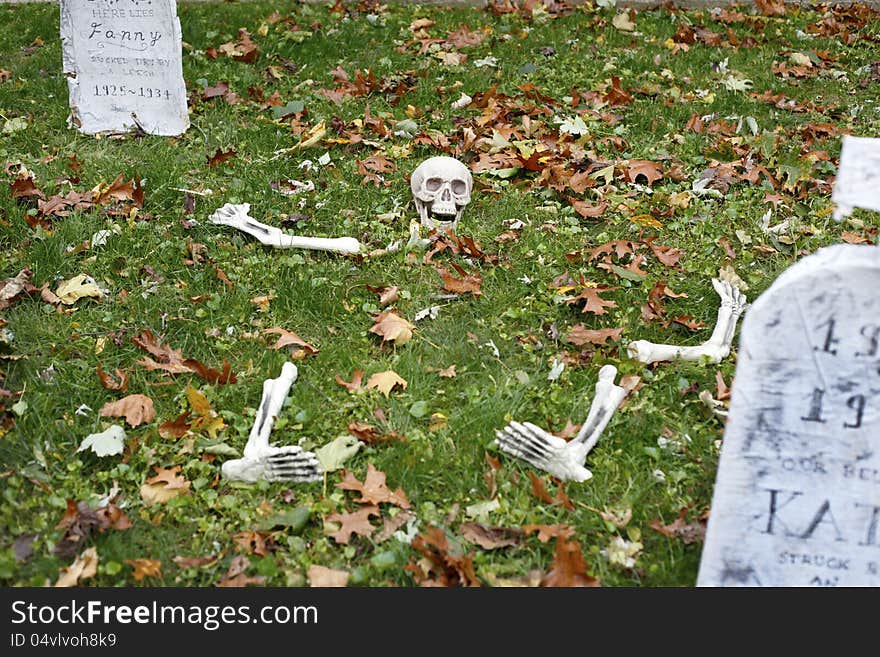 A halloween skeleton buried in the green grass with fall leaves all around. A halloween skeleton buried in the green grass with fall leaves all around.