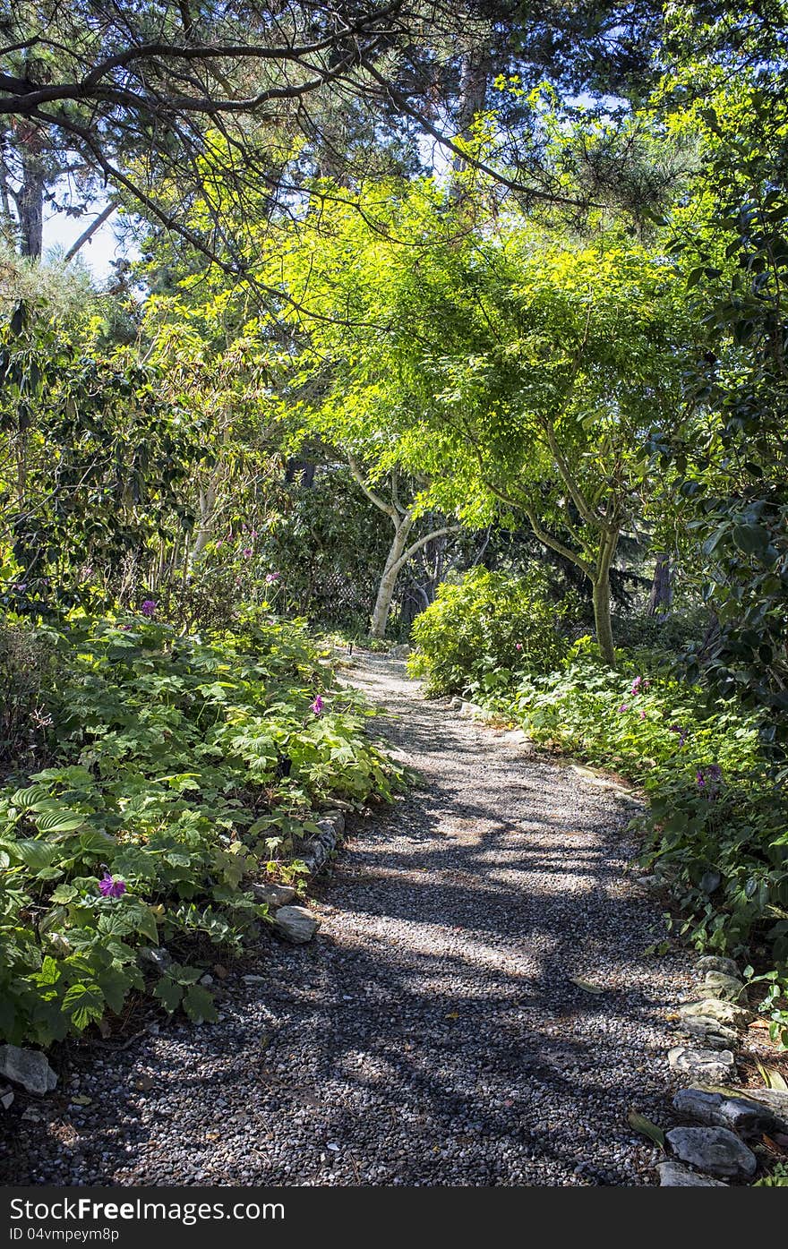 Beautiful peaceful walking trail in the woods