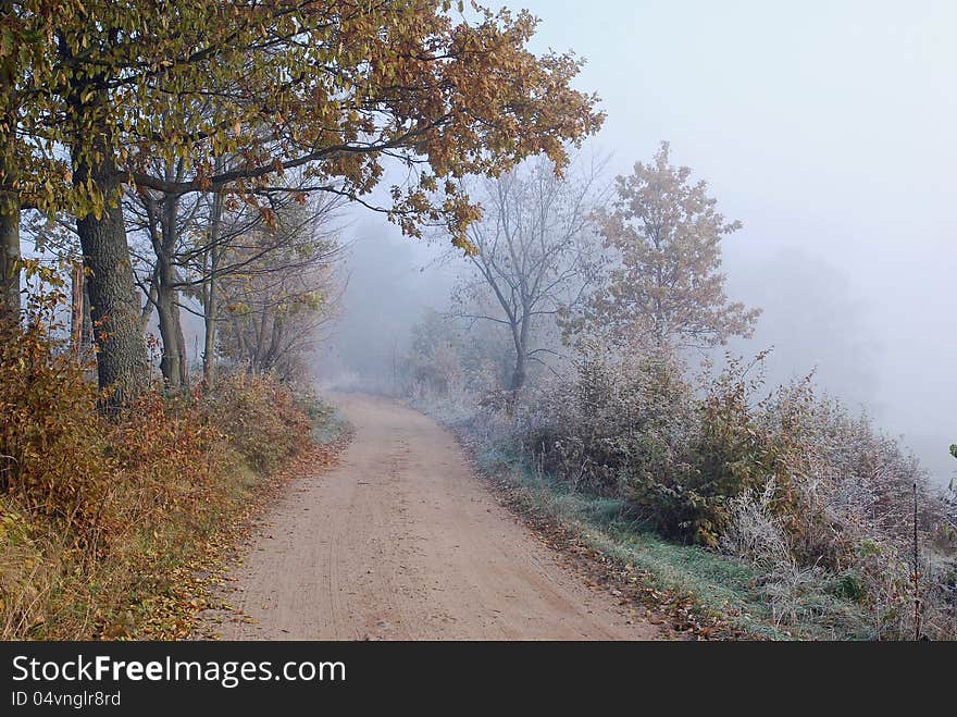 Foggy country road in autumn.