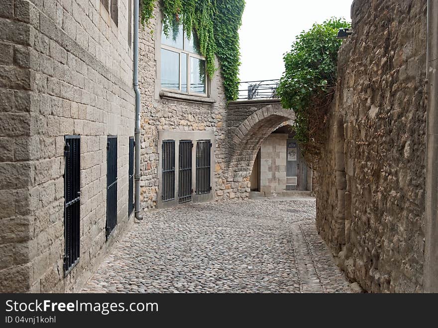 Very well preserved the whole medieval complex Carcasonne. Very well preserved the whole medieval complex Carcasonne.