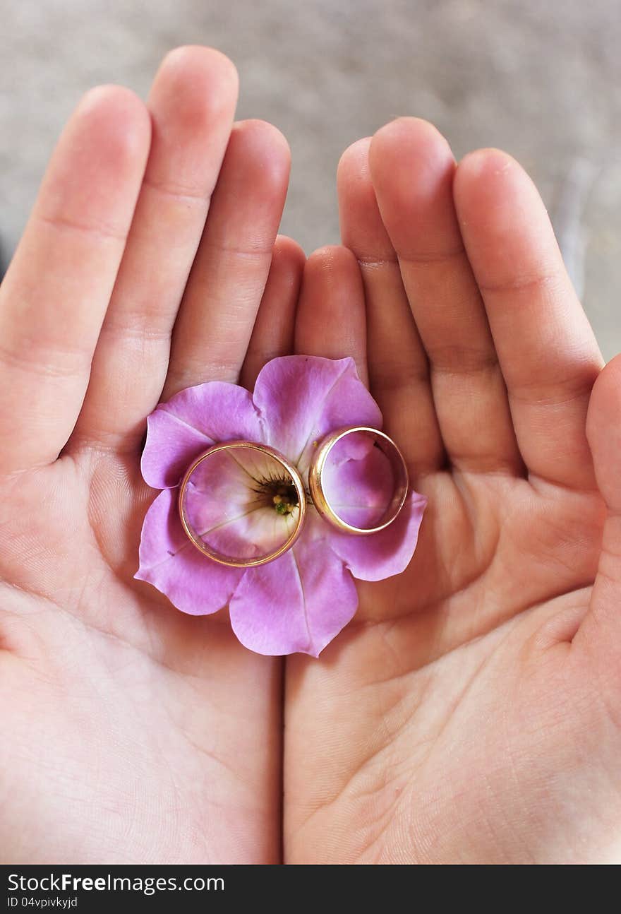 Hands with wedding rings and petunia