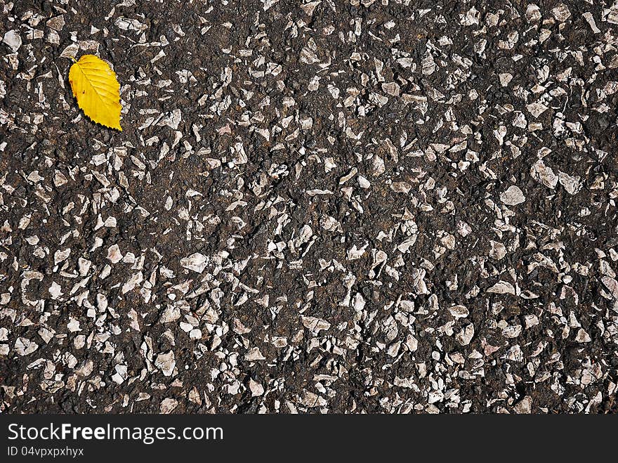 Yellow leaf on asphalt