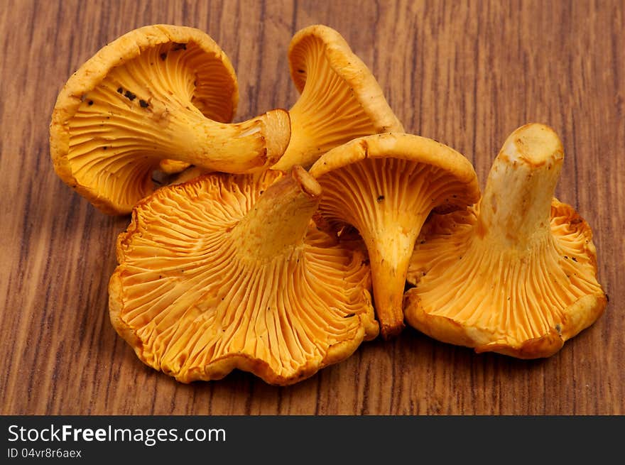 Heap of Perfect Raw Chanterelles closeup on Wooden background. Heap of Perfect Raw Chanterelles closeup on Wooden background