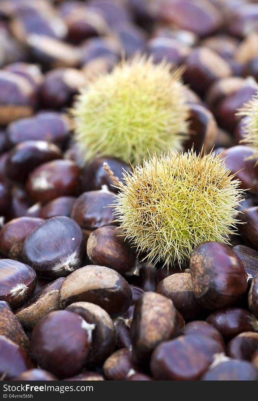 Beautiful matured chestnuts in bulk