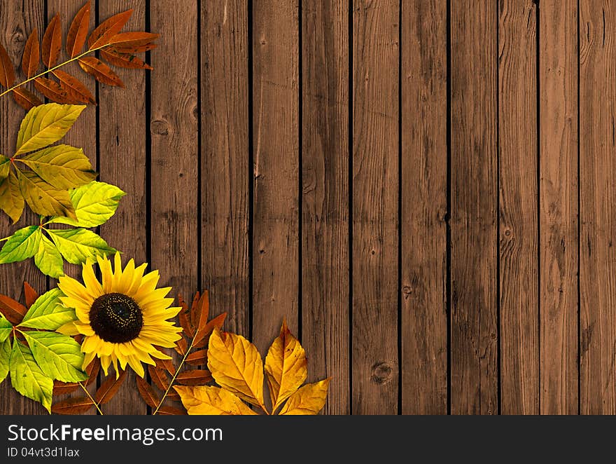 Wooden board with autumn flowers. Wooden board with autumn flowers