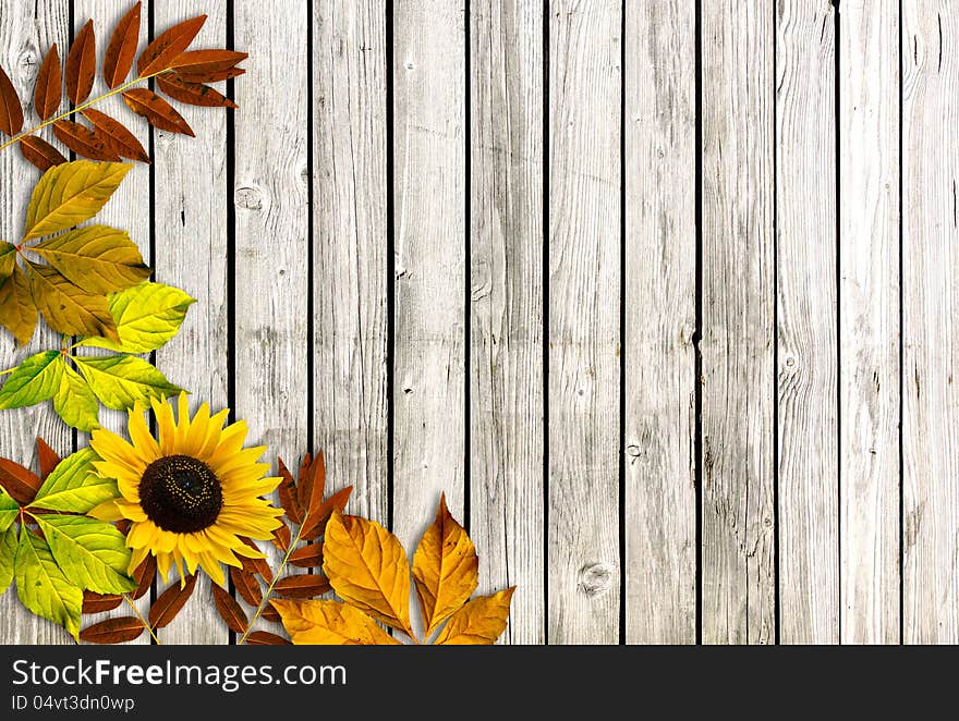 Wooden board with autumn flowers. Wooden board with autumn flowers