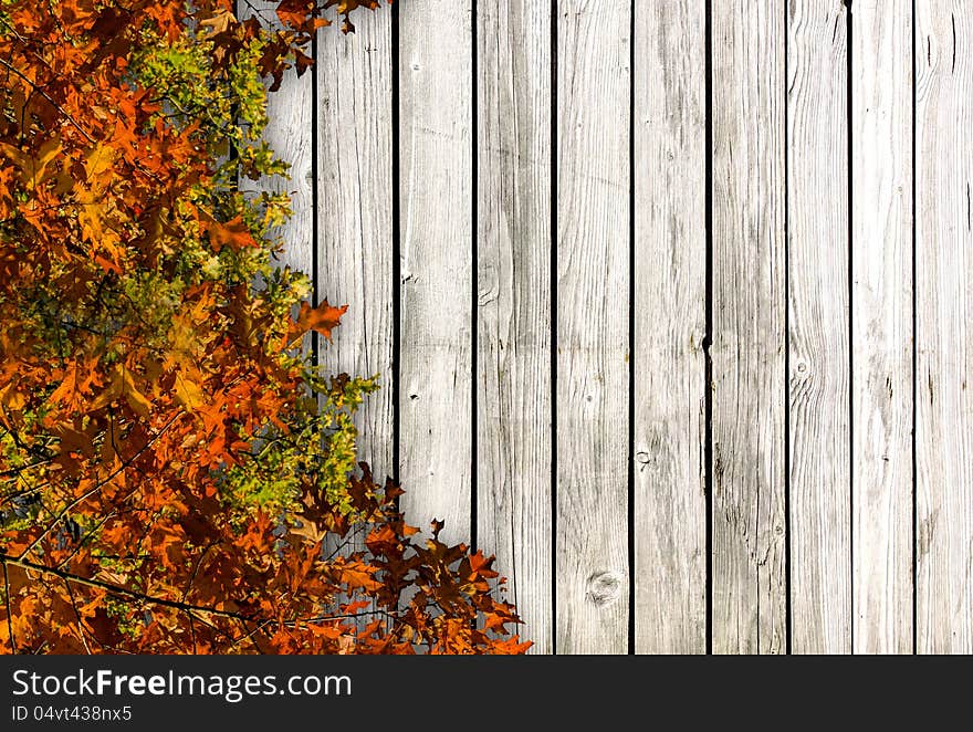 Wooden board with autumn flowers. Wooden board with autumn flowers