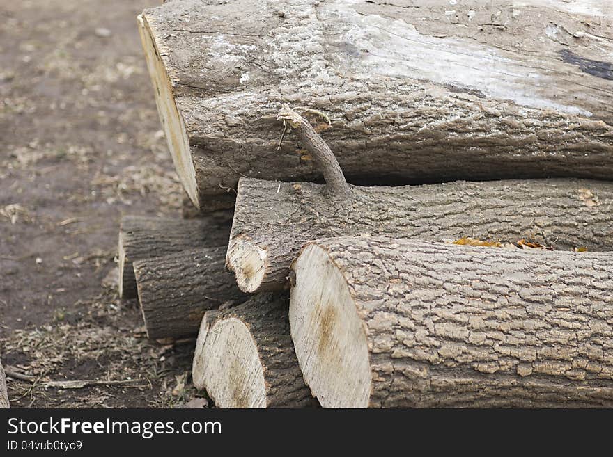 Firewood lies a pile on the earth. Firewood lies a pile on the earth