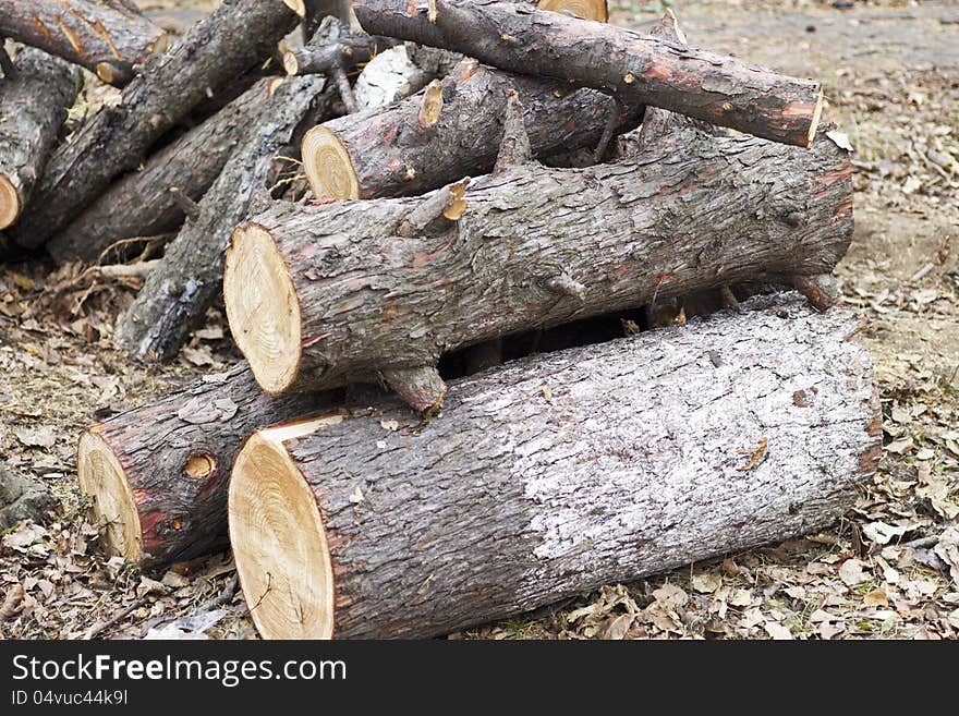 Firewood lies a pile on the earth. Firewood lies a pile on the earth