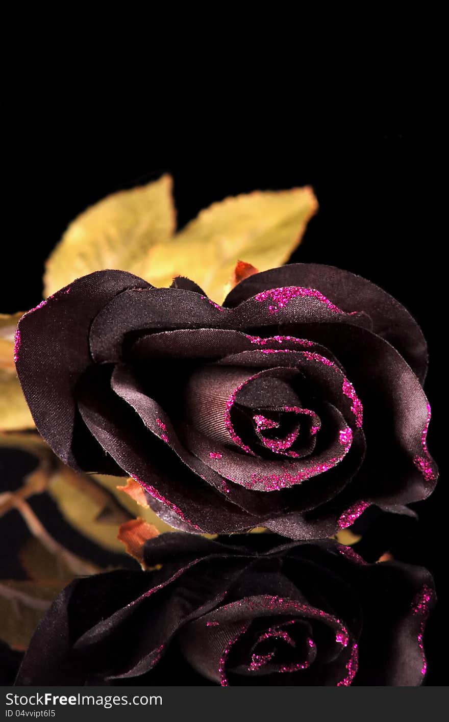 Black decor flowers on black table top. Black decor flowers on black table top