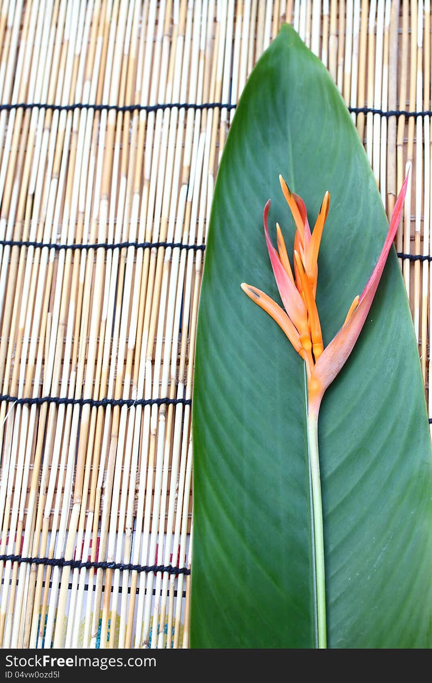 Heliconia flower and its leaf, put on the table cloth made from wooden. Heliconia flower and its leaf, put on the table cloth made from wooden