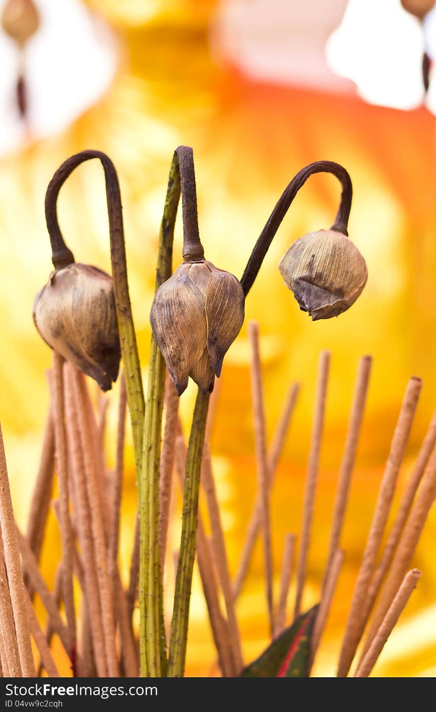 Dry lotus flower, incense and buddha statue