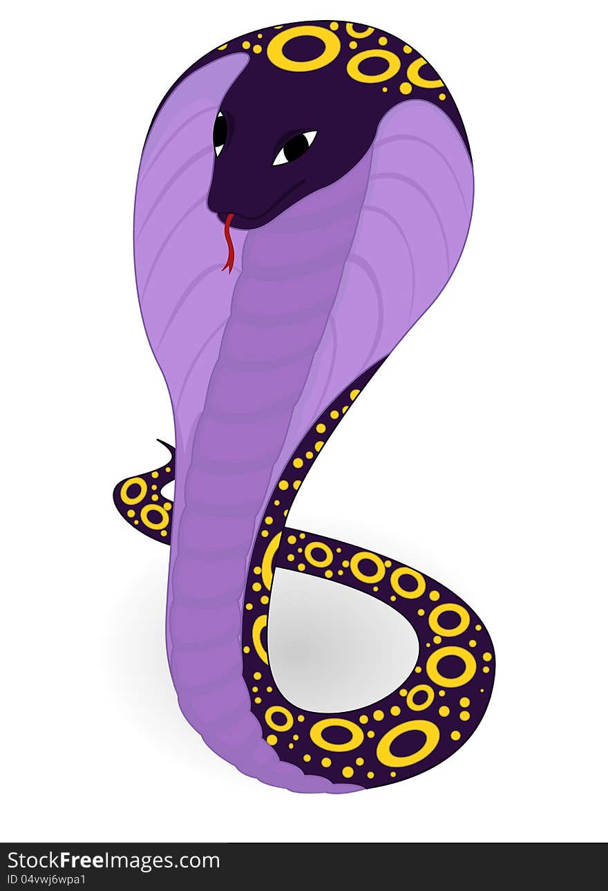 Violet Cobra