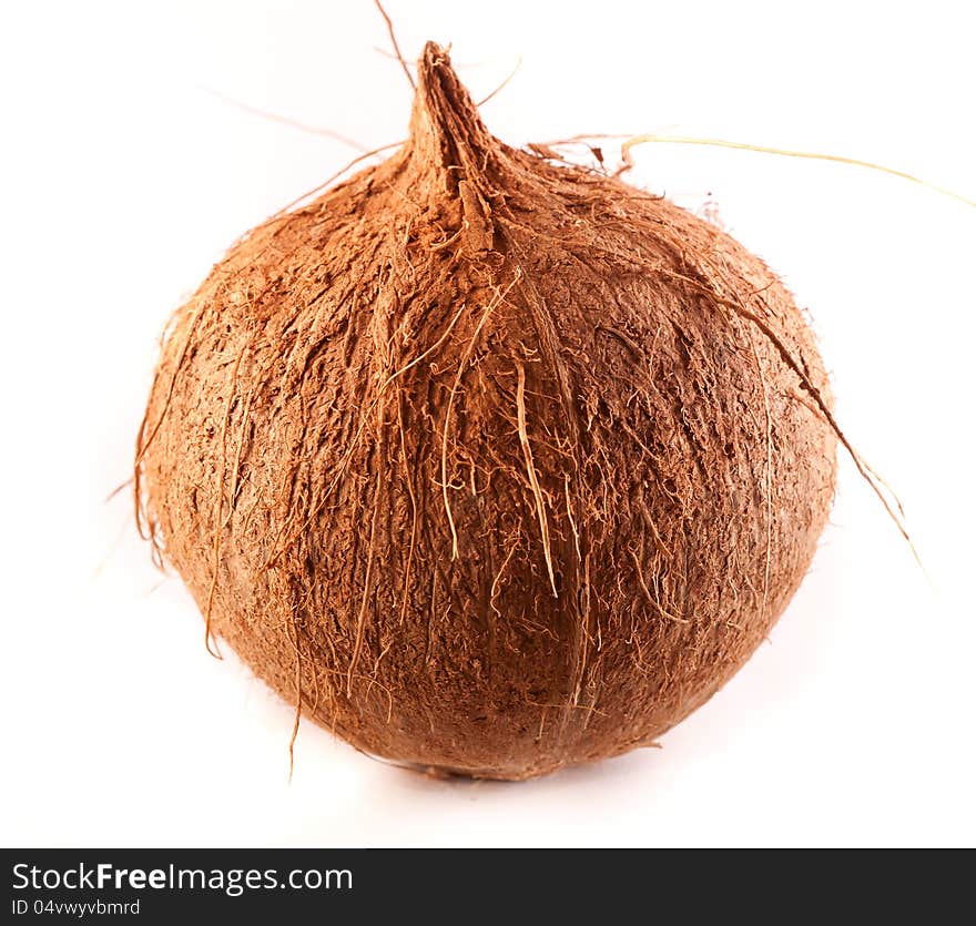 Fresh coconut isolated on white background