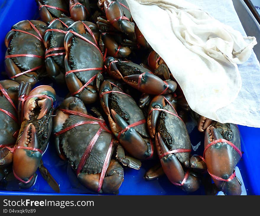 Crabs tied up for easy preparation