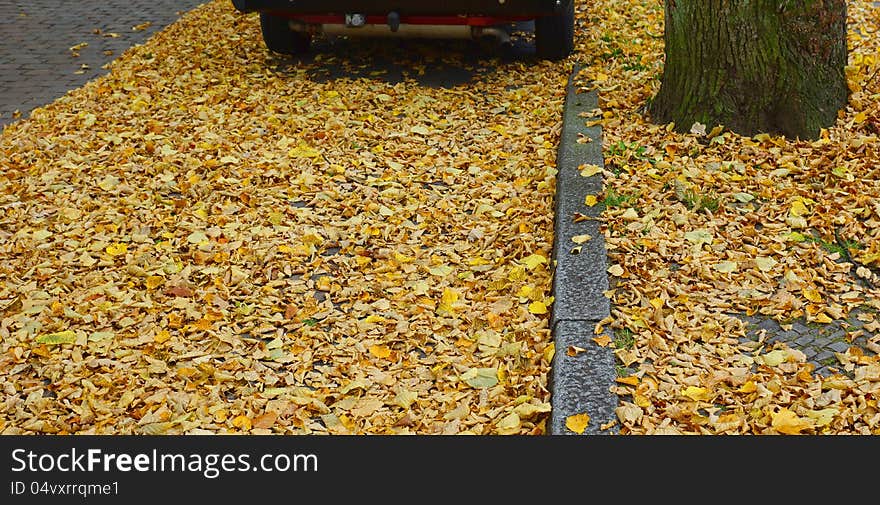 Background with autumn leaf on the road. Background with autumn leaf on the road