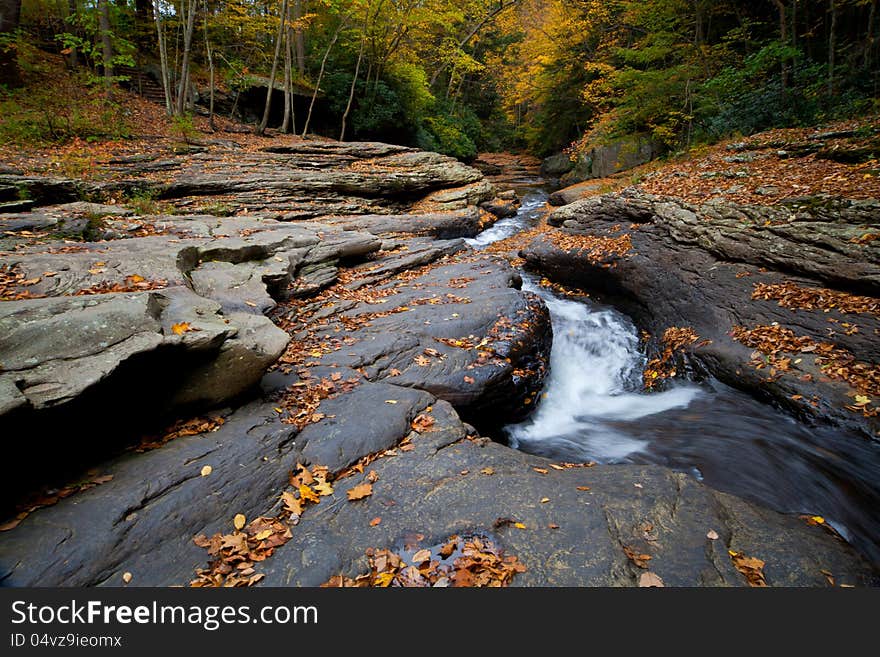 Autumn forest rocks creek in the woods with yellow trees foliage