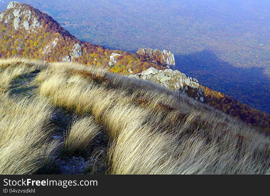 Feather-Grass On Rocks Mountains