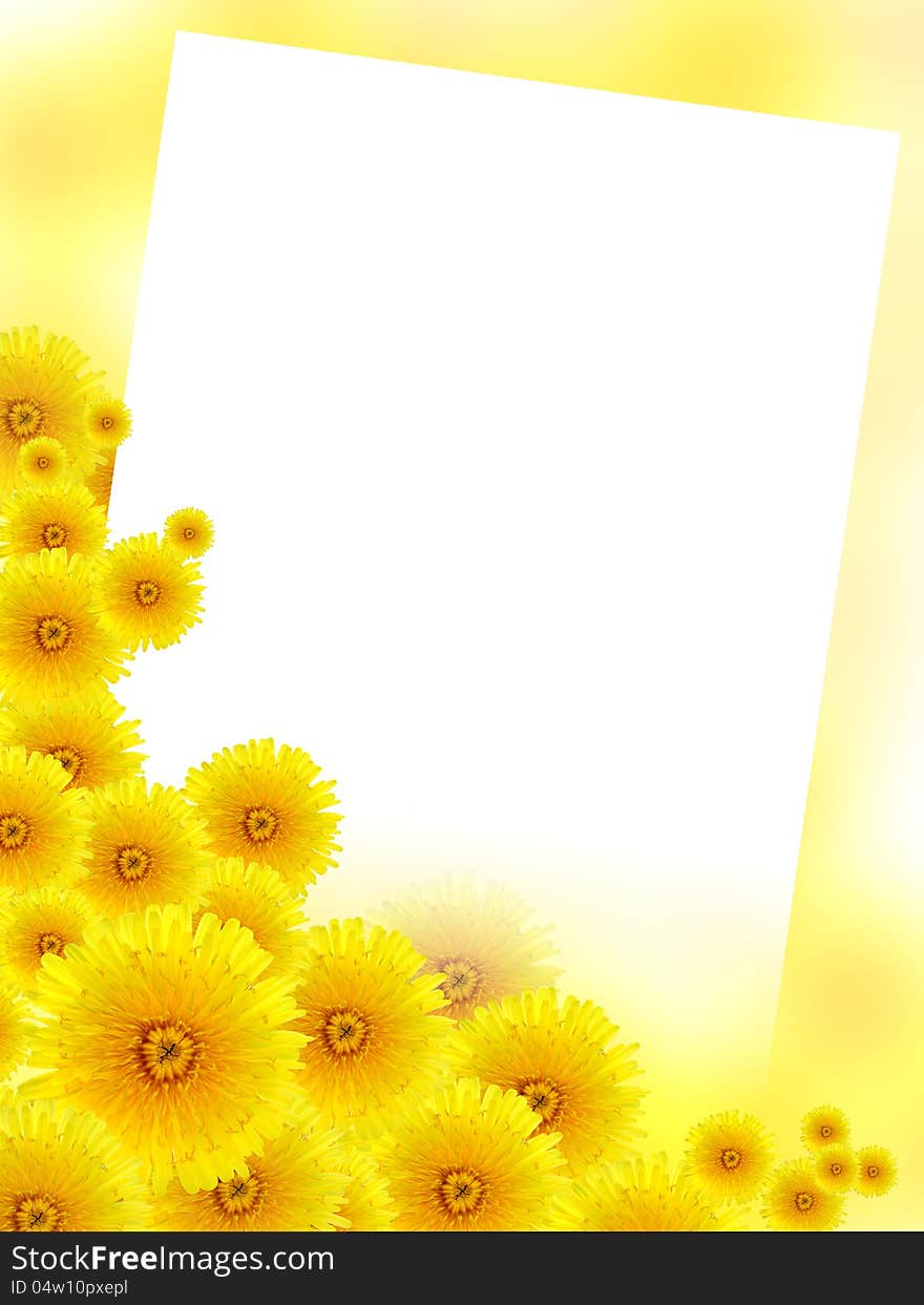 Yellow background with lot of dandelion flowers and blank white surface for text. Yellow background with lot of dandelion flowers and blank white surface for text