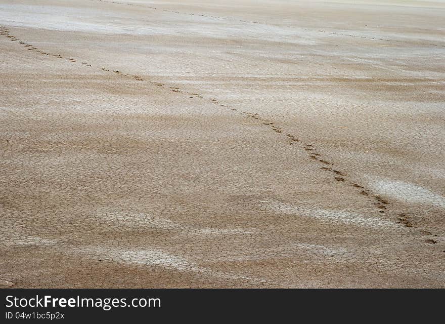 Salty land and footprints