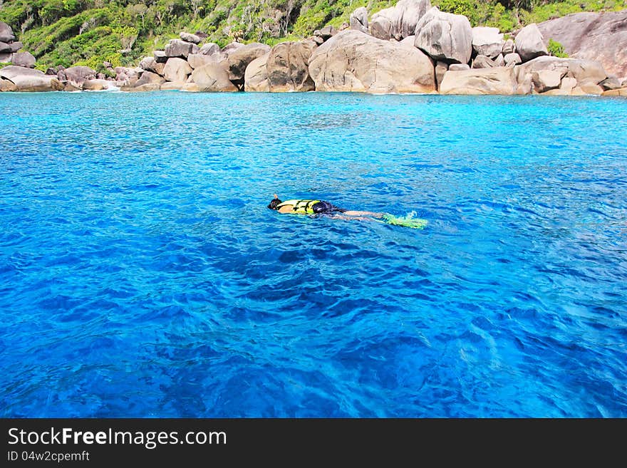 Snorkeling In Blue Coral Reef