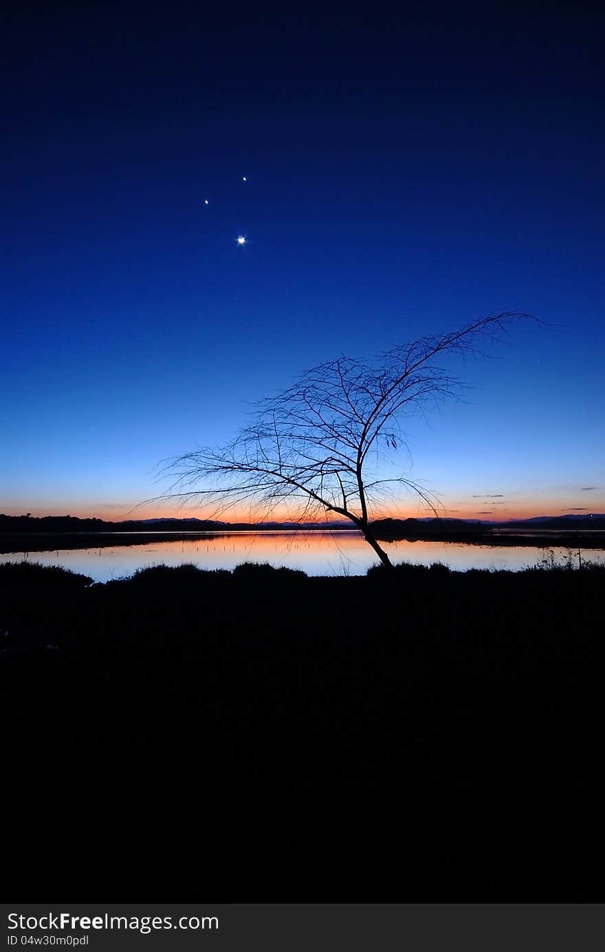 Silhouettes of trees twilight with the small moon smiling.In front of the Chiang Saen Lake. Chiang Rai. Northern Thailand. Silhouettes of trees twilight with the small moon smiling.In front of the Chiang Saen Lake. Chiang Rai. Northern Thailand.