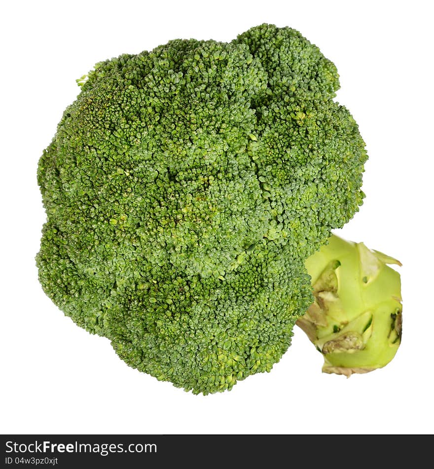 Green broccoli isolated on white background