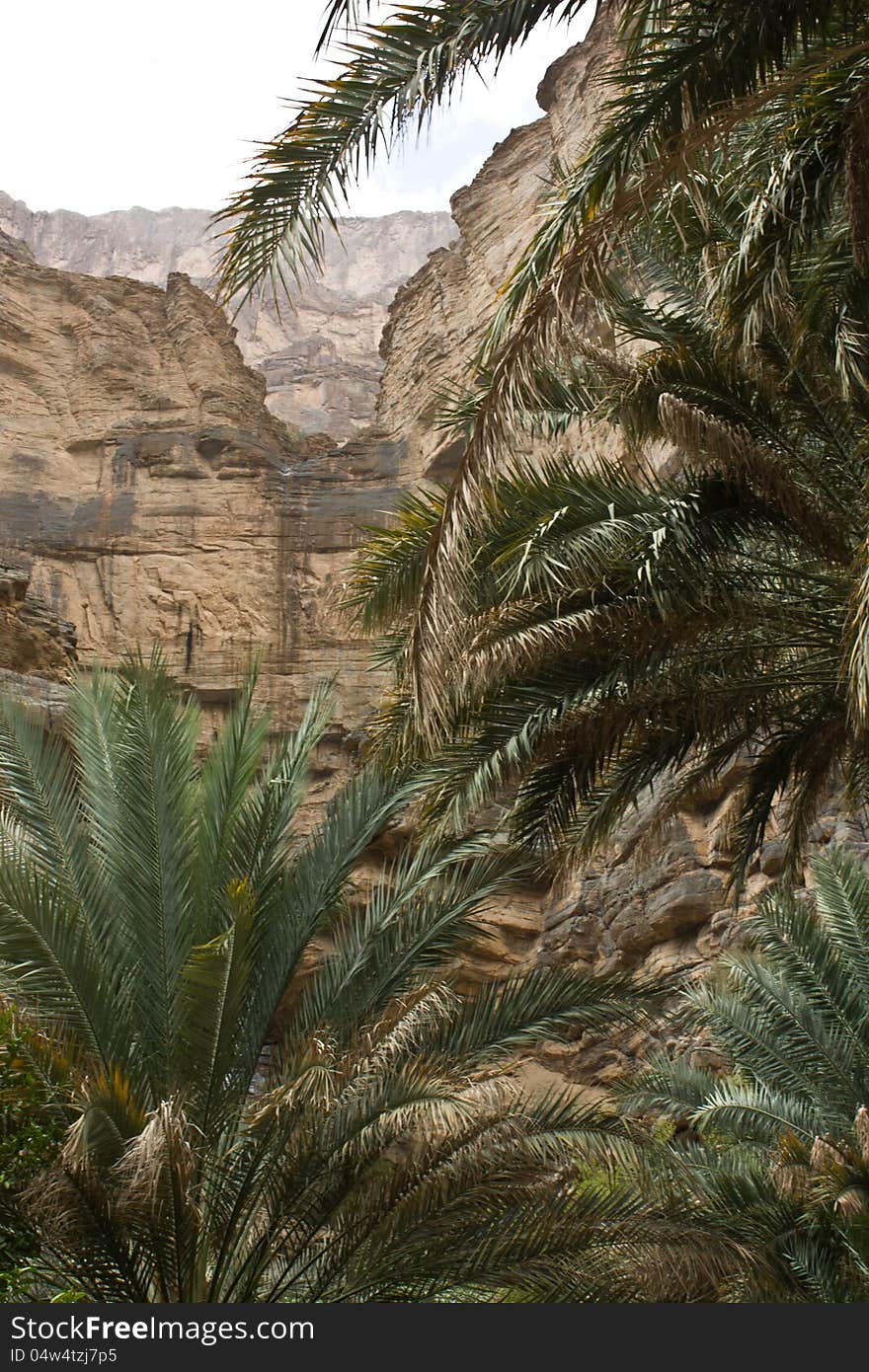 View from the interior of Wadi An Nakhur, Oman