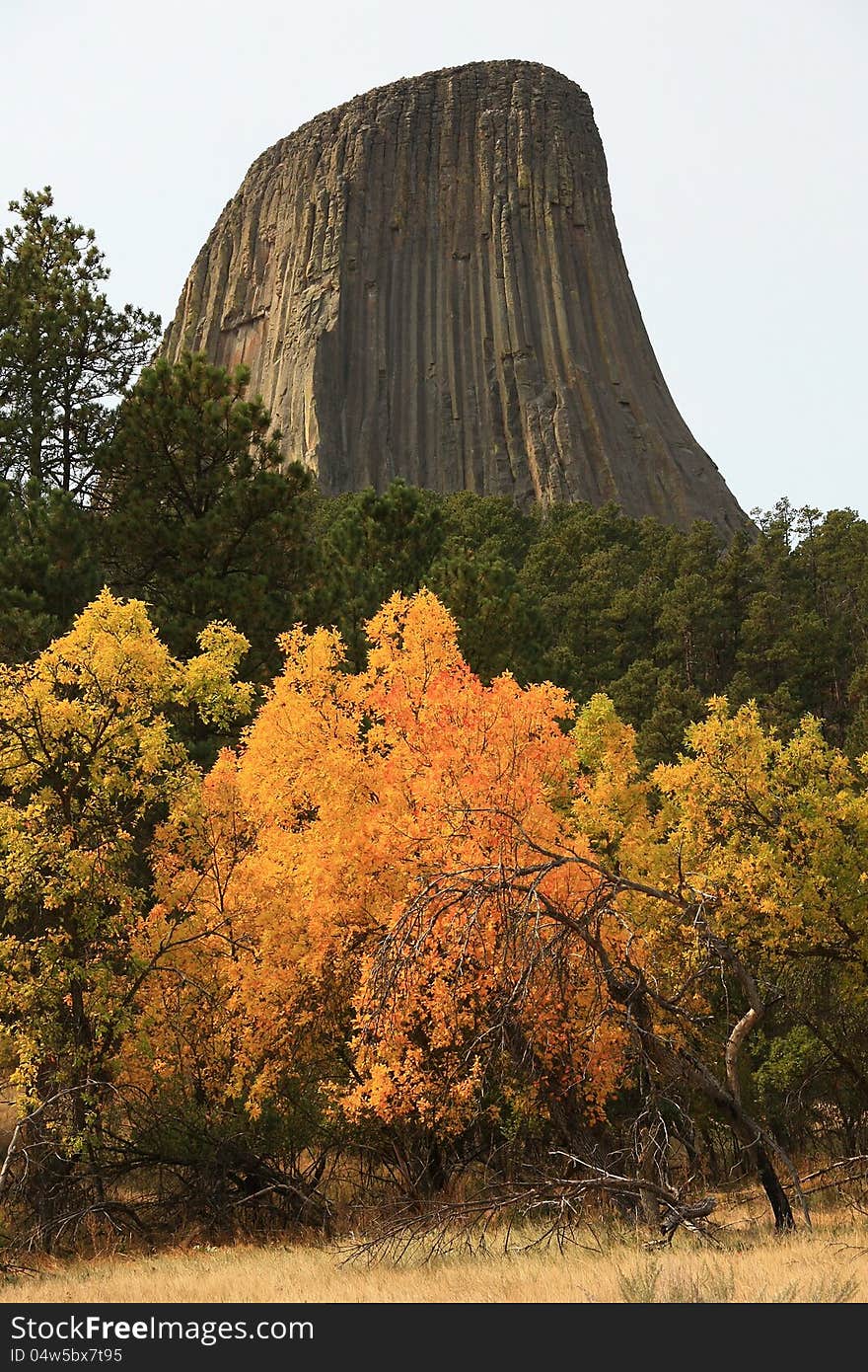 Fall Colors at Devils Tower