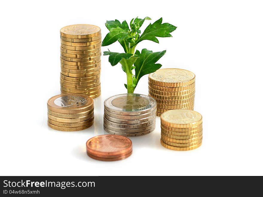 Plant and coins isolated over white background. Plant and coins isolated over white background.