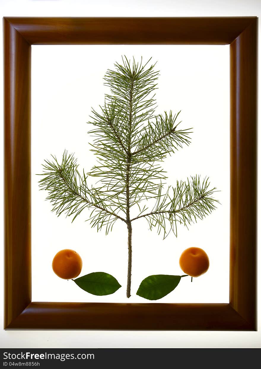 Christmas decoration two bright orange tangerines with a green leafs in a wooden frame. Frame brown, varnished. In the center of the space between the mandarins Christmas tree. Christmas decoration two bright orange tangerines with a green leafs in a wooden frame. Frame brown, varnished. In the center of the space between the mandarins Christmas tree.