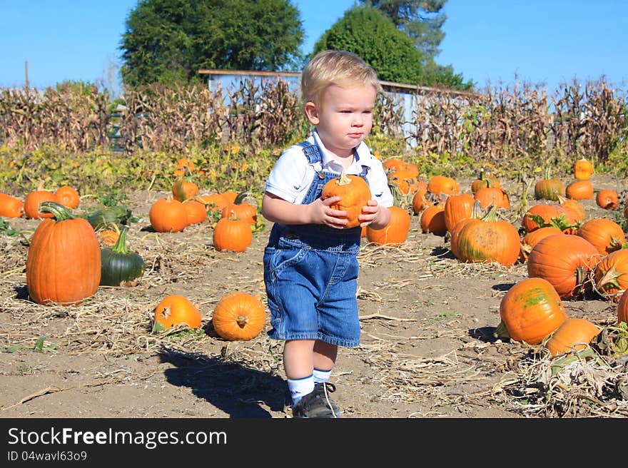 Cute toddler boy finding his first pumpkin while walking through a pumpkin patch. Cute toddler boy finding his first pumpkin while walking through a pumpkin patch.