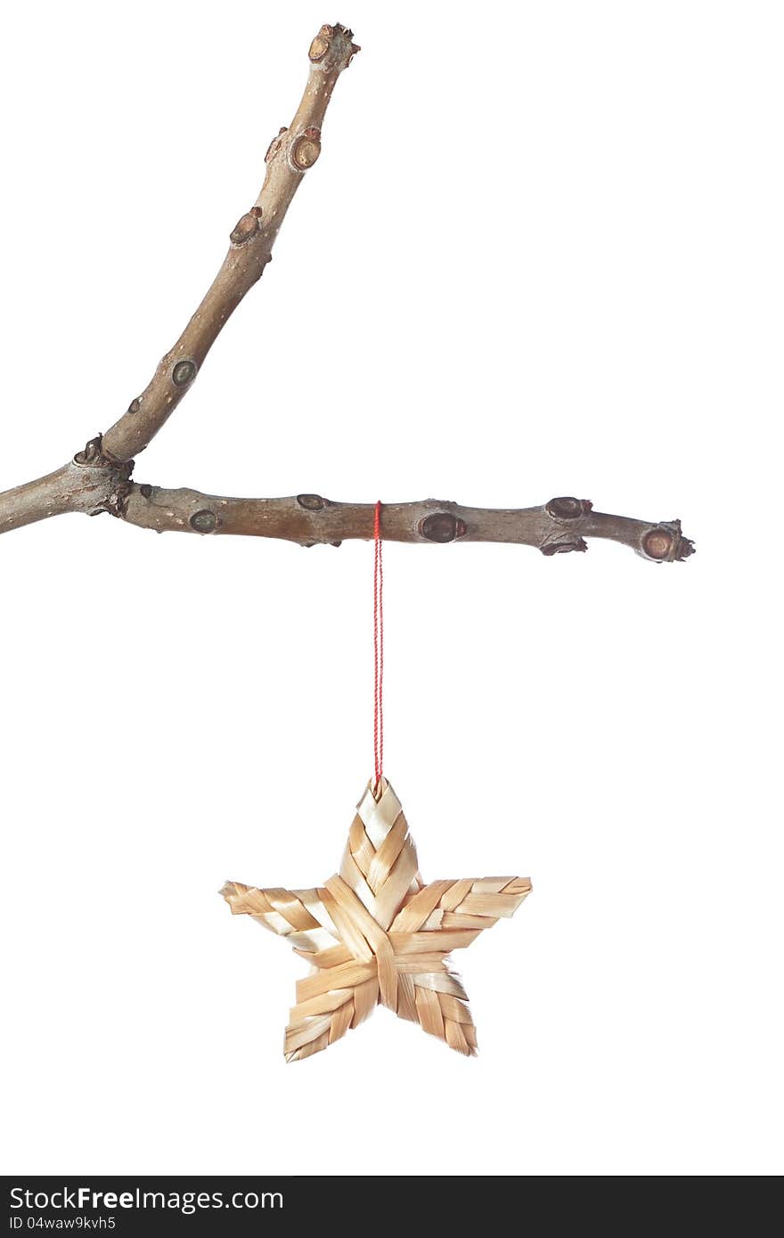 Decorative star on a branch for Christmas.