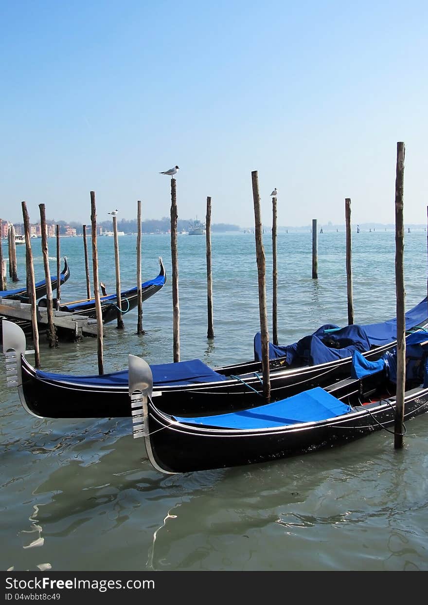 Gondolas parked on a Venetian water canal