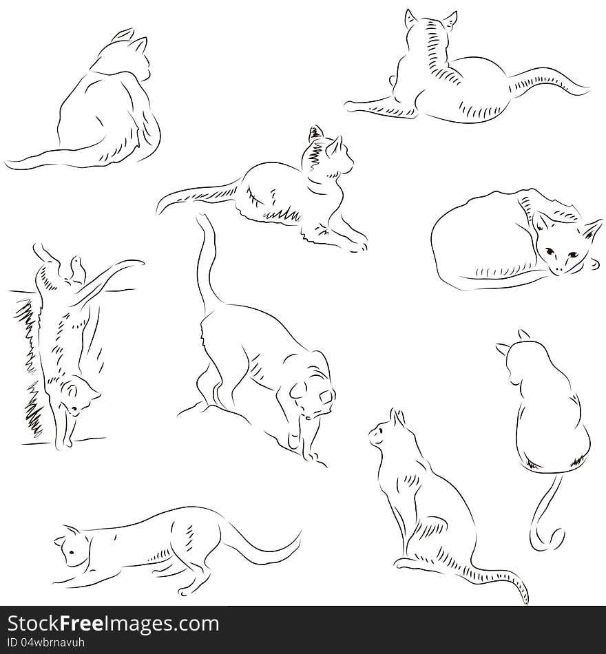 Cats Sketches Set