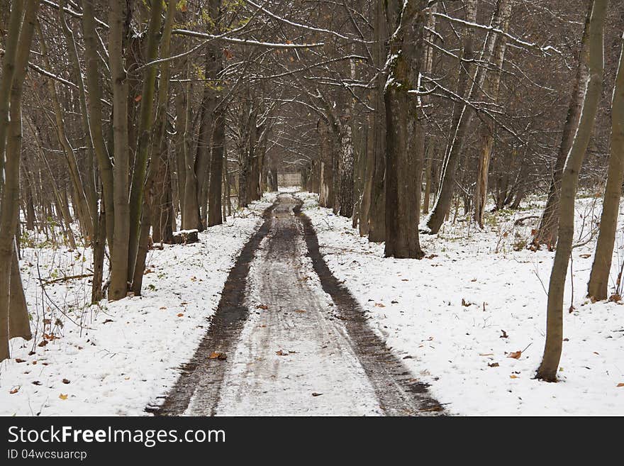 First snow