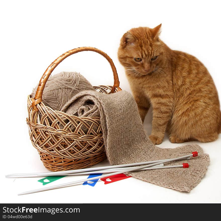 Ginger cat  sitting next to a basket. Ginger cat  sitting next to a basket.