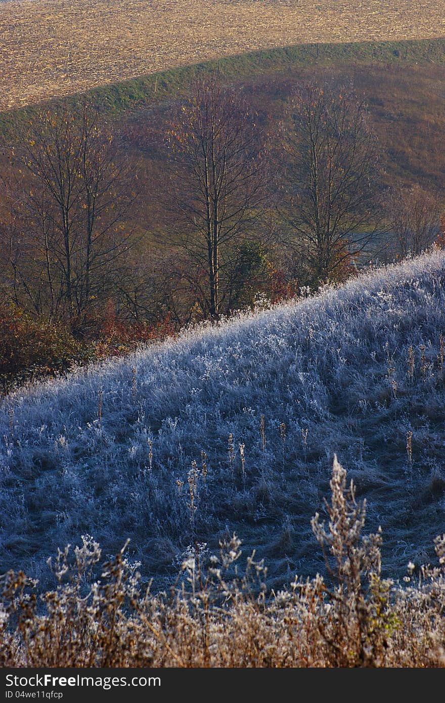 Rural Landscape in Late Autumn