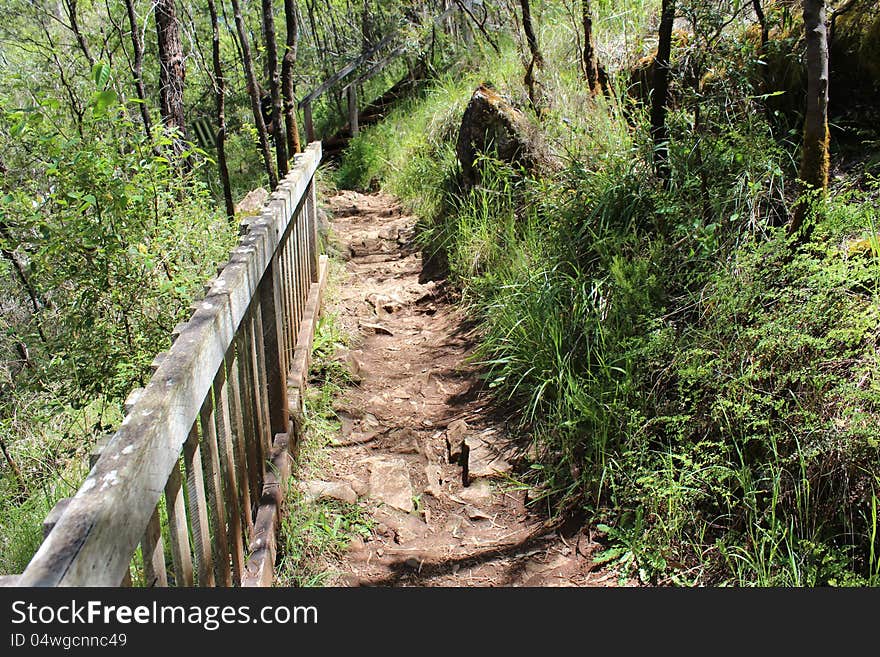 The rocky walkway in the Beedelup national park Karri forest in south Western Australia leads to the floating bridge over the Beedelup Falls and winds down the steep mountain side with handrail for protection of walkers. The rocky walkway in the Beedelup national park Karri forest in south Western Australia leads to the floating bridge over the Beedelup Falls and winds down the steep mountain side with handrail for protection of walkers.