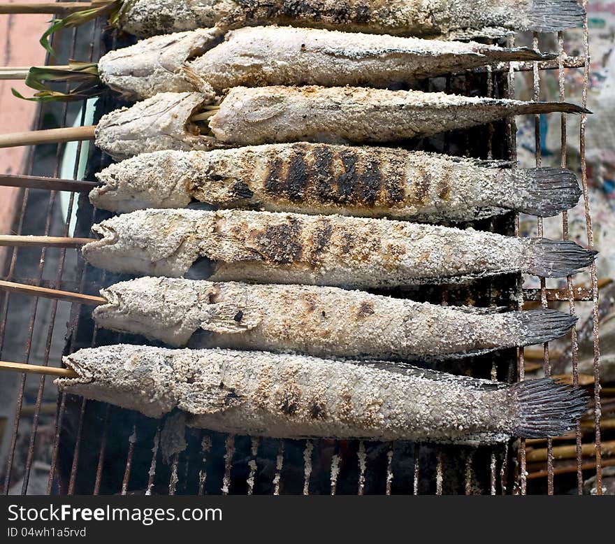 Grill snake head fish with salt coated on campfire grate