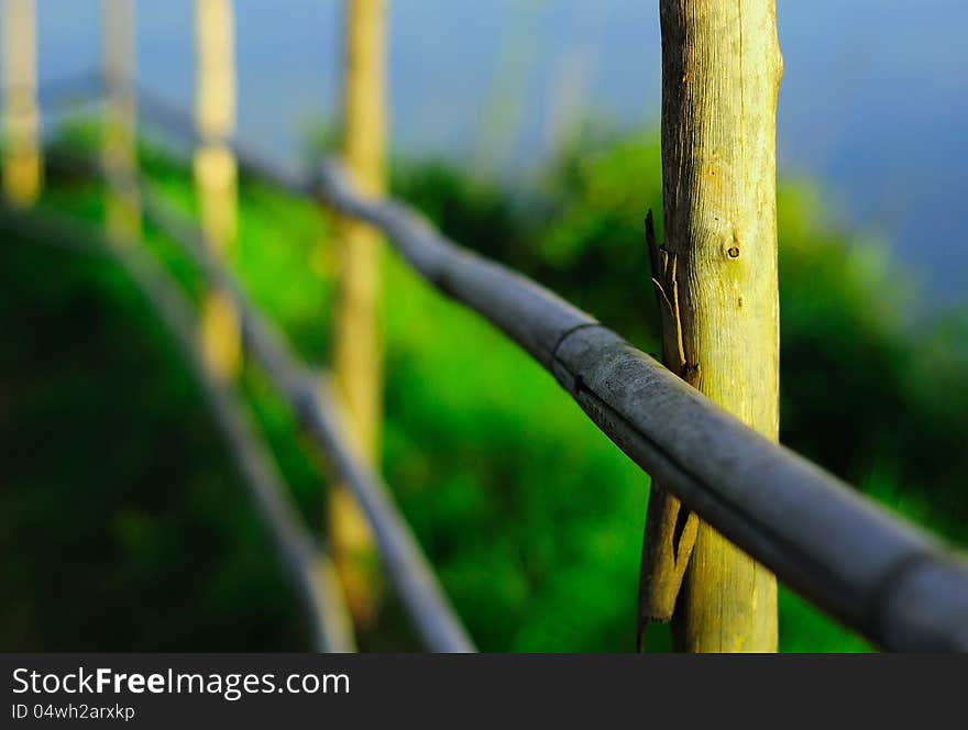 Old wood fence in the forest, thailand