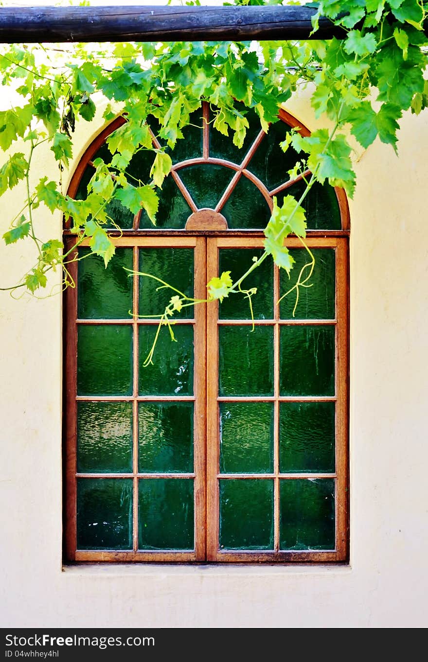 Wooden frame bay window with new wild wine leafs